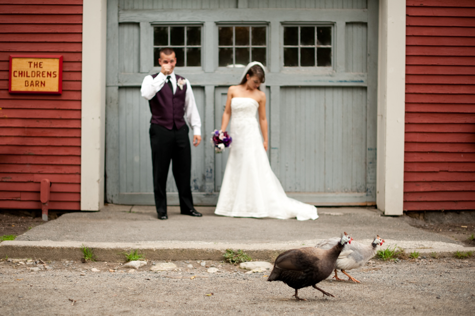 bride and groom with hens