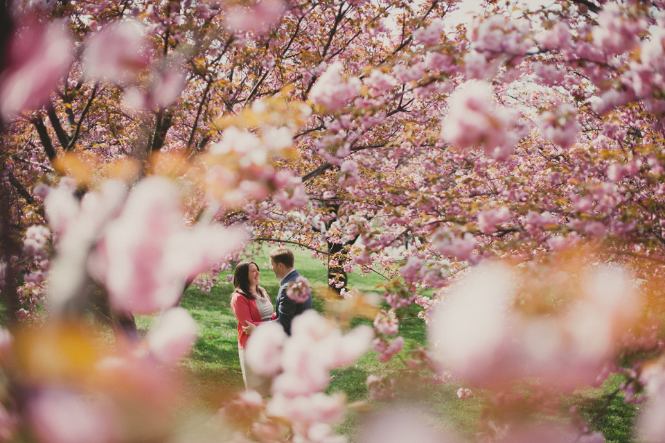 Washington DC cherry blossom engagement
