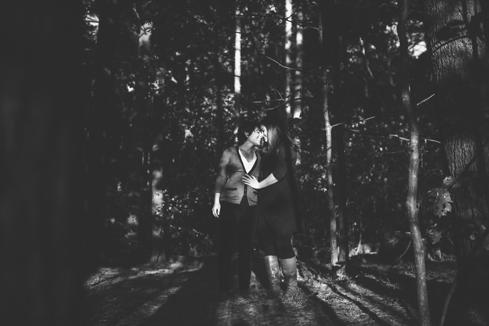 Middlesex Fells Reservation Engagement photos